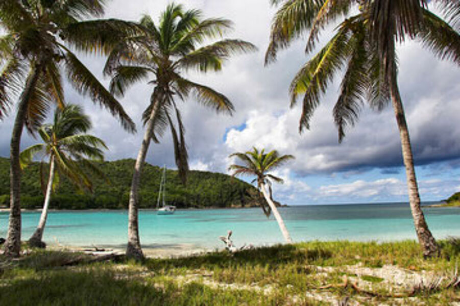 Ausblick vom Strand auf Grenada