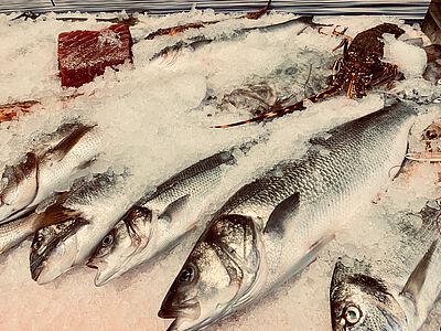 Fresh local fish on ice